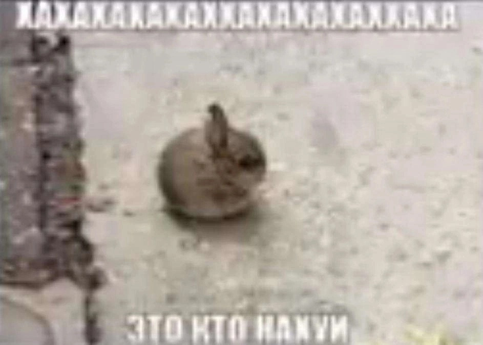 {TEXT?}