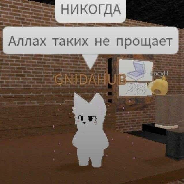 {TEXT?}