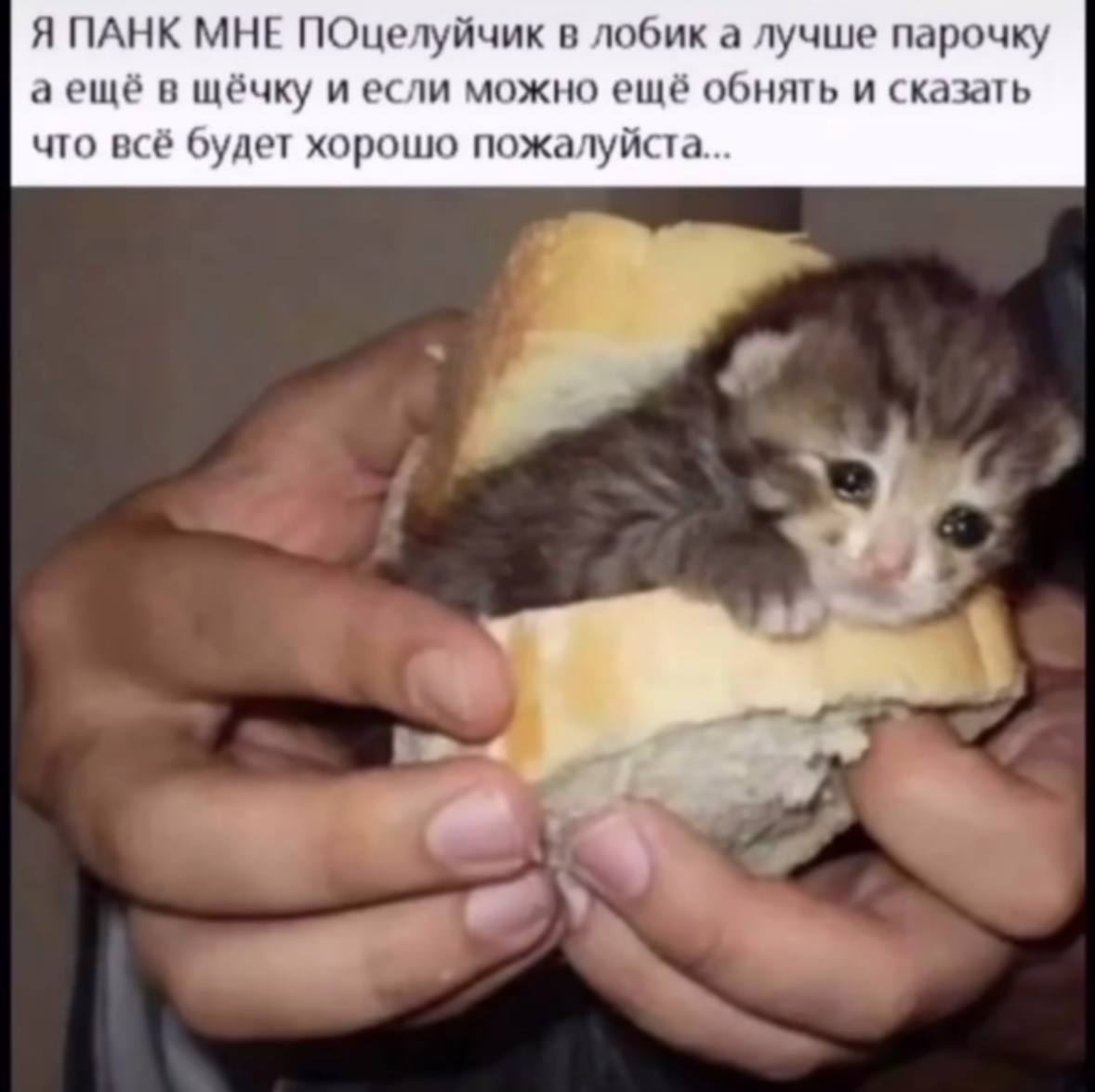 {TEXT?}