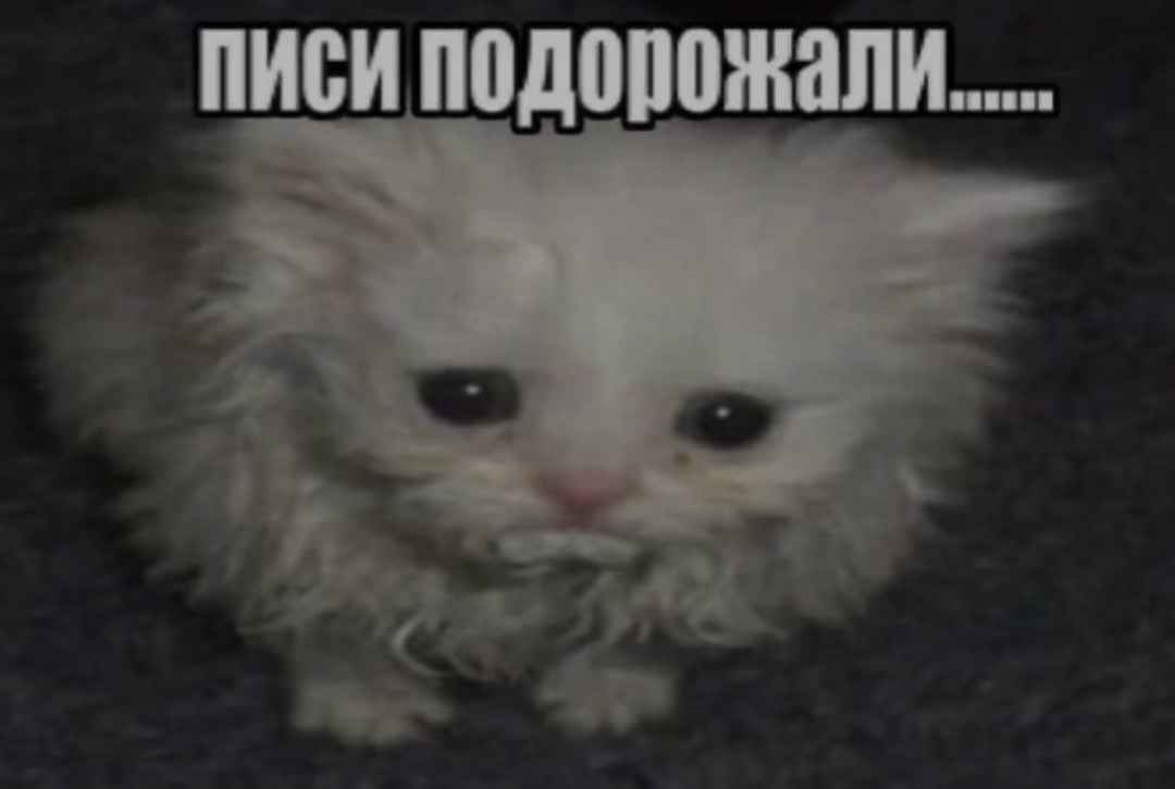 {TEXT?}