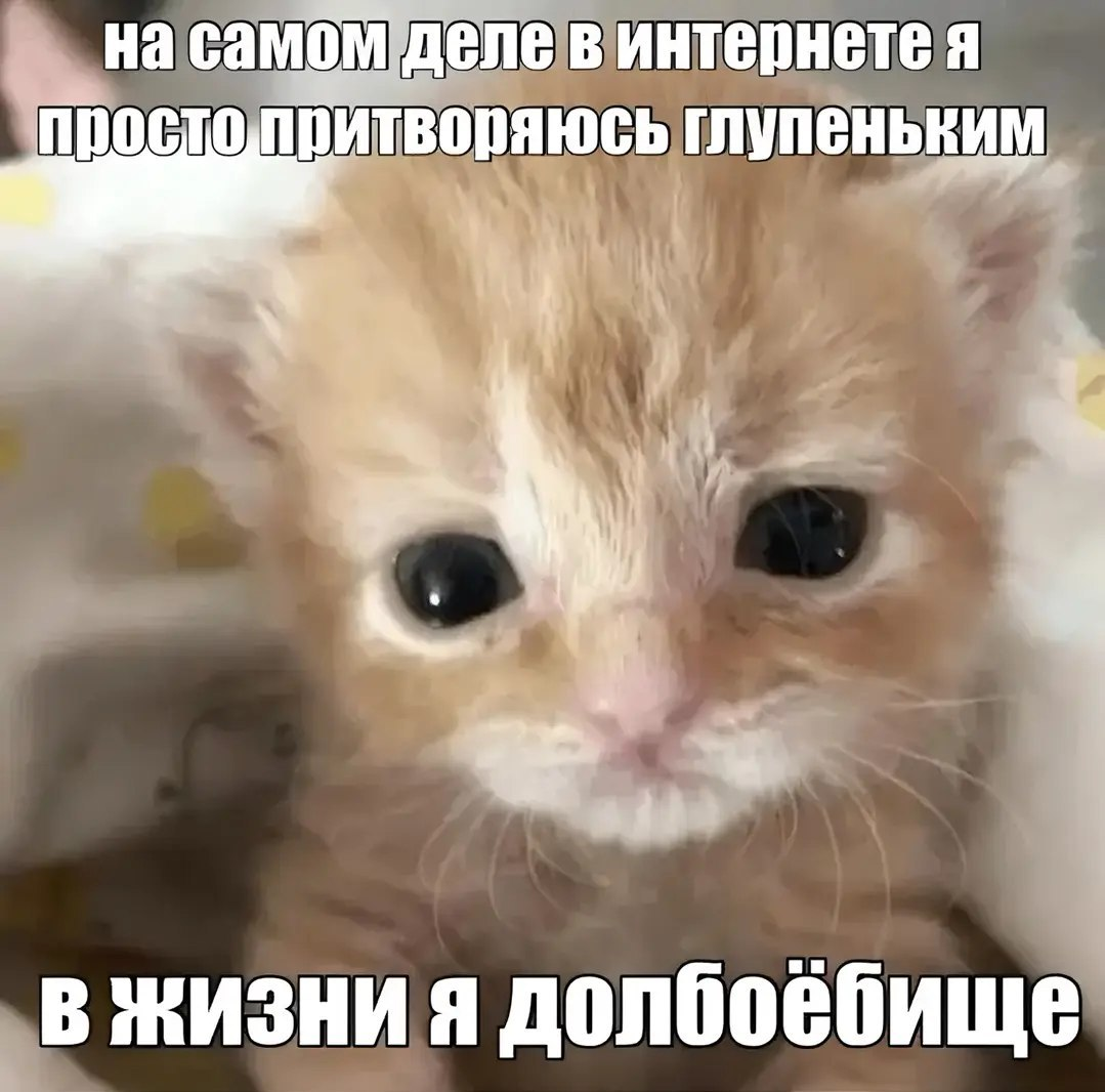 {TEXT?}