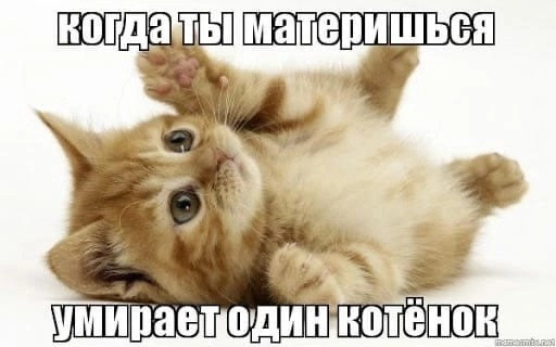 {TEXT?}