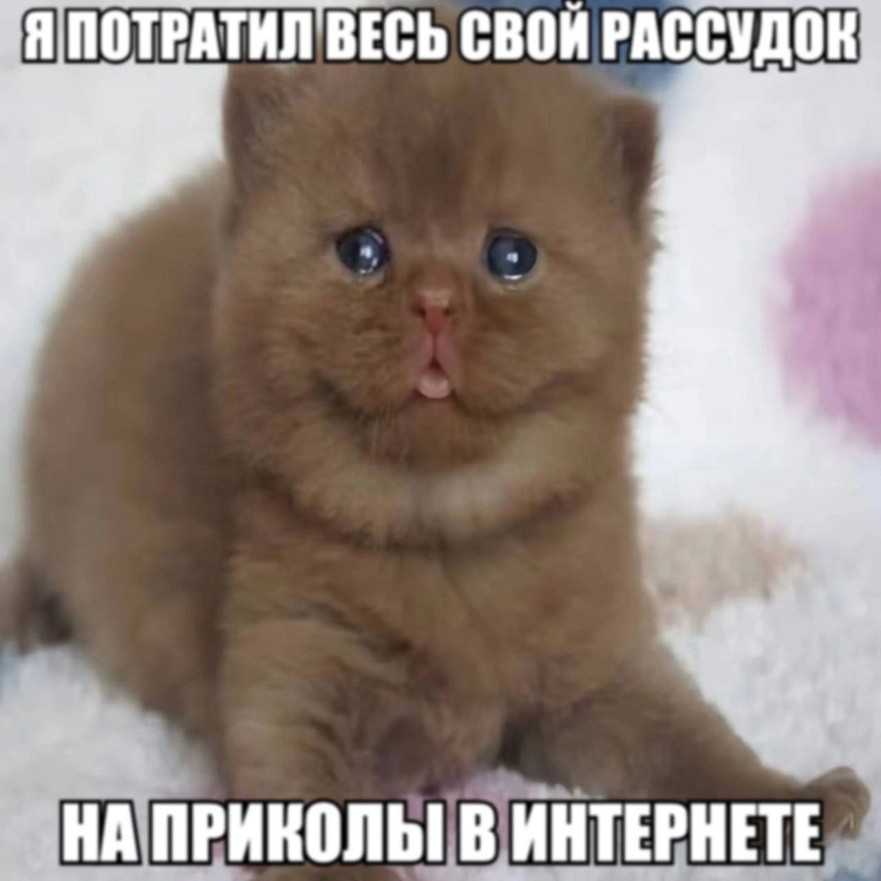 {TEXT?}