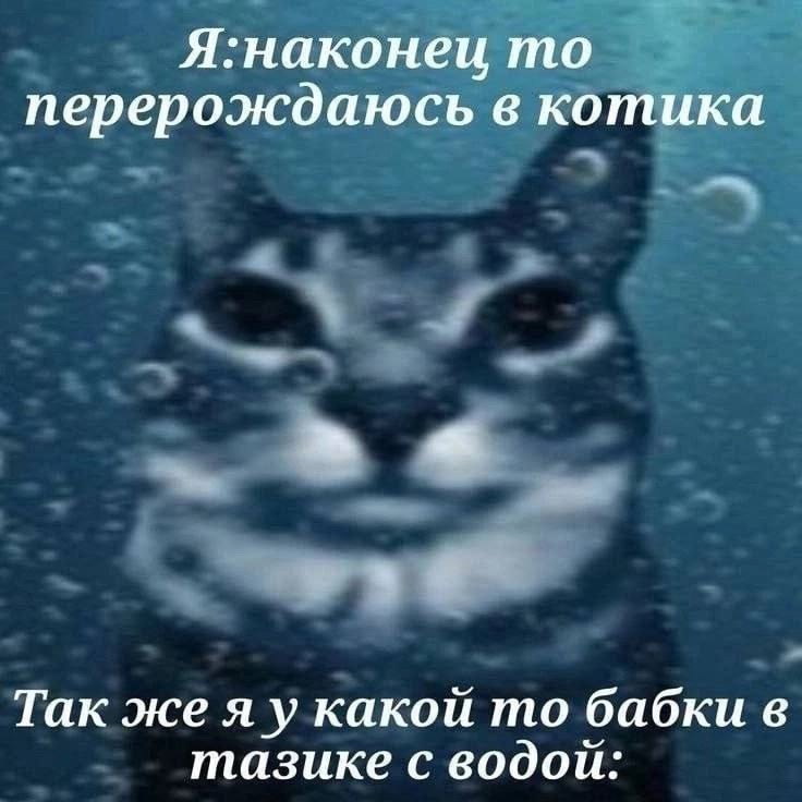 {SOSAL?}