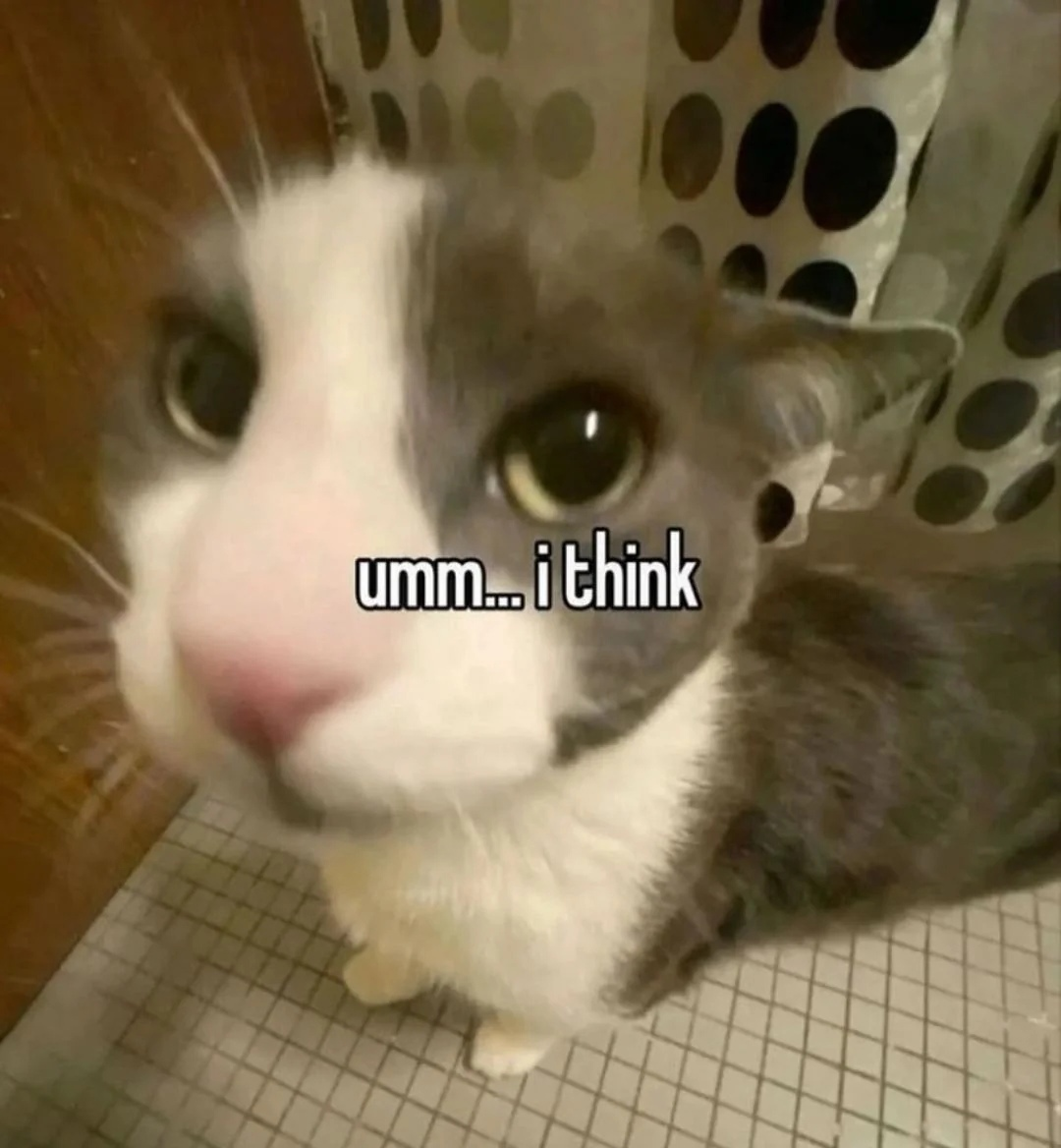 {TEXT?}