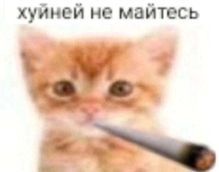 {TEXT?}