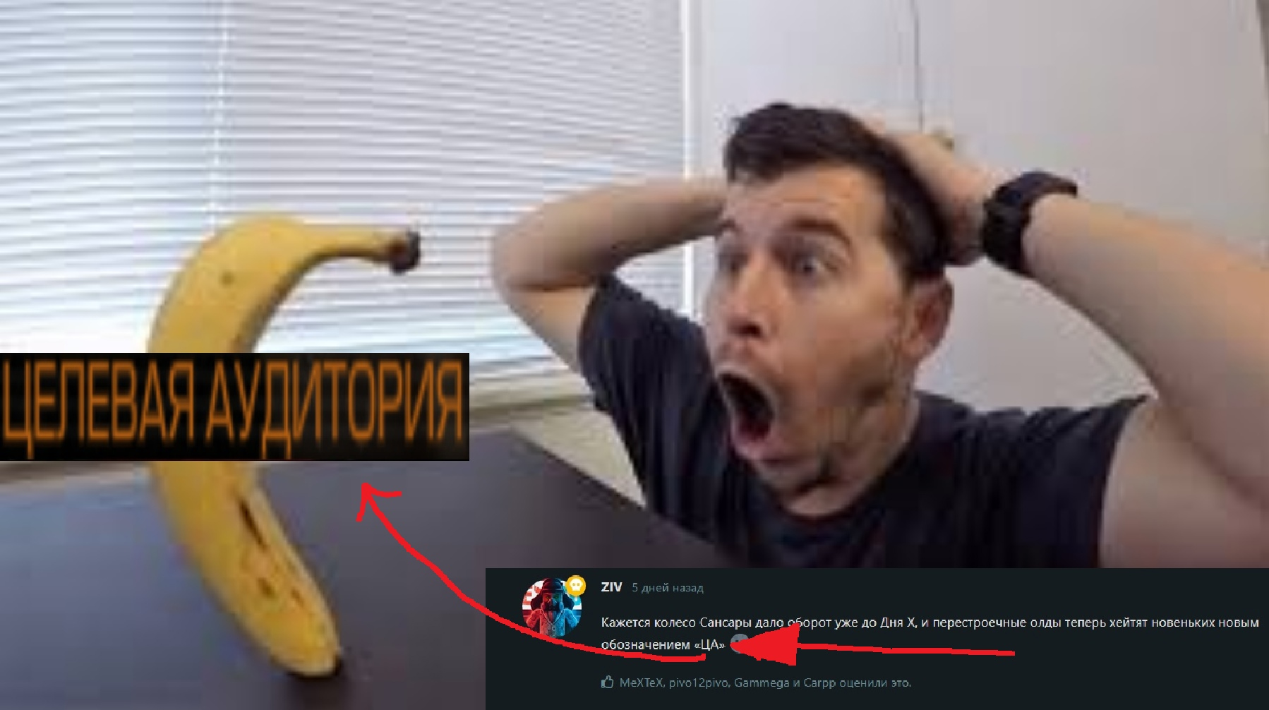 {TEXT?}