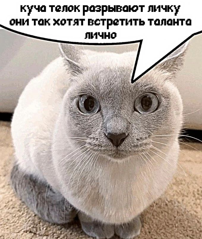 {TEXT?}