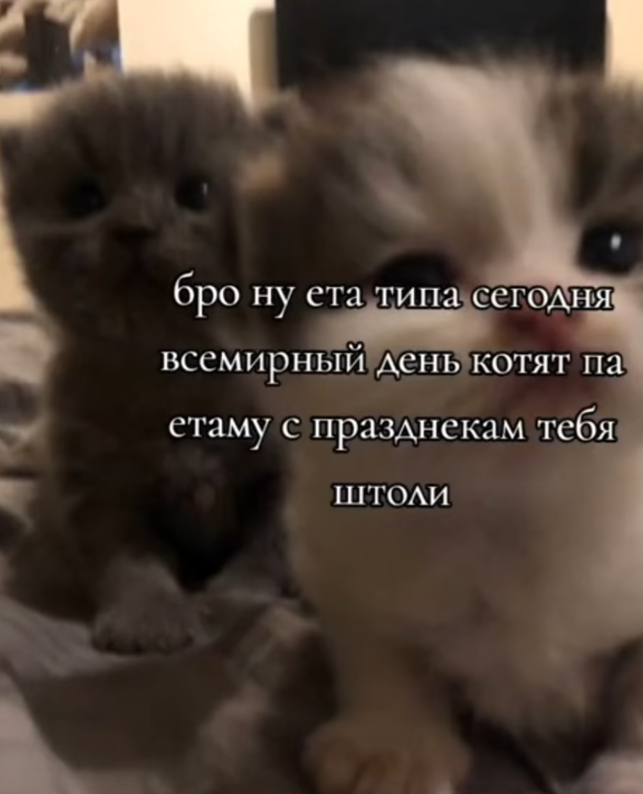 {TEXT?}