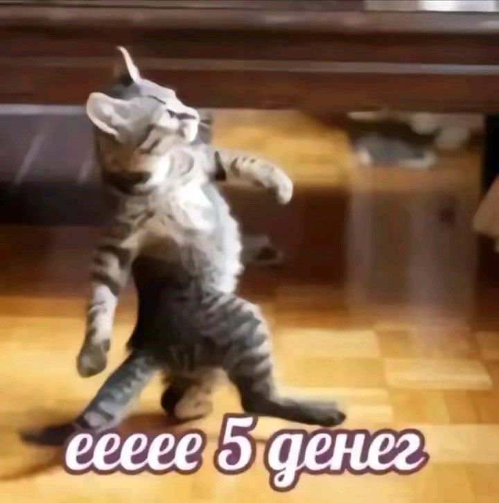 {TEXT?}