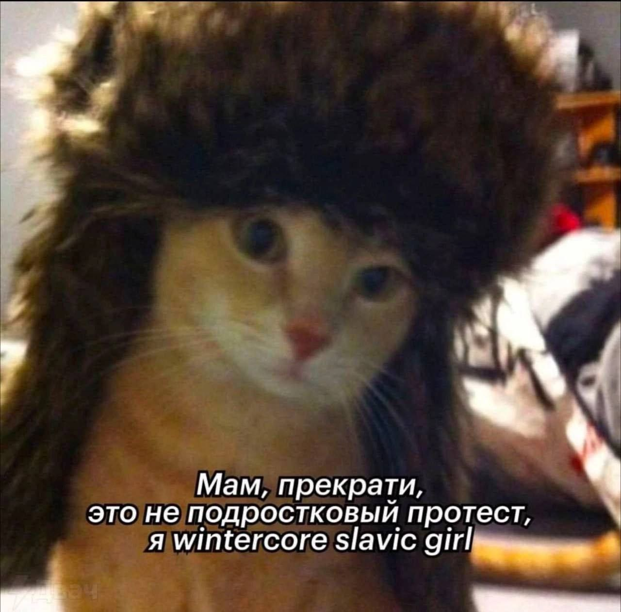{TEXT?}