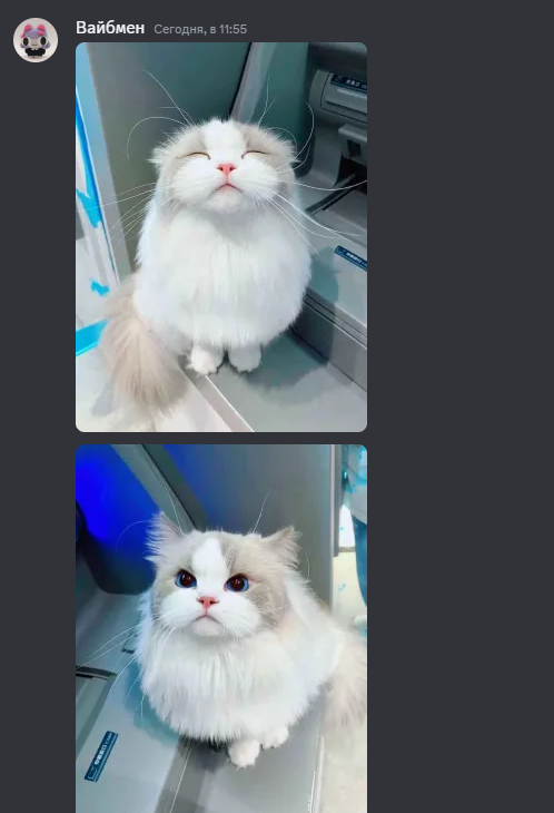 {TEXT?}