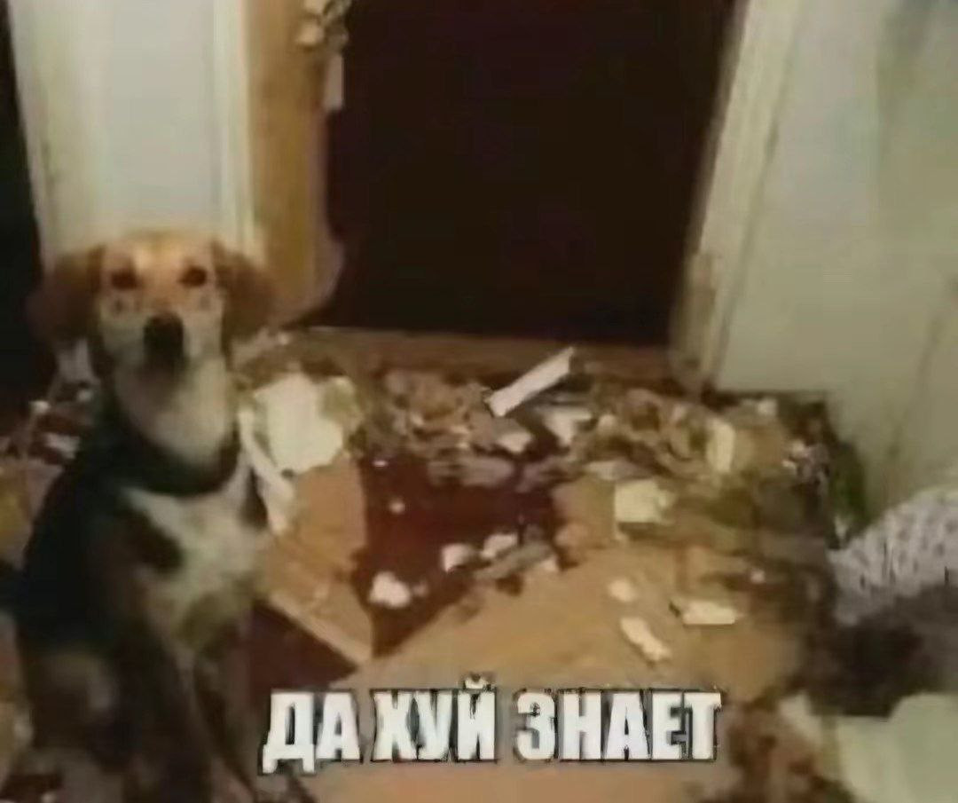 {TEXT?}