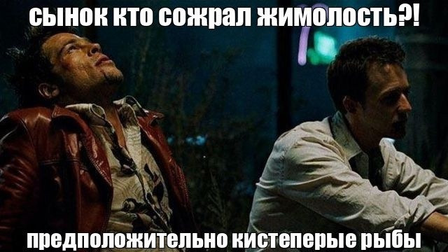 {TEXT?}