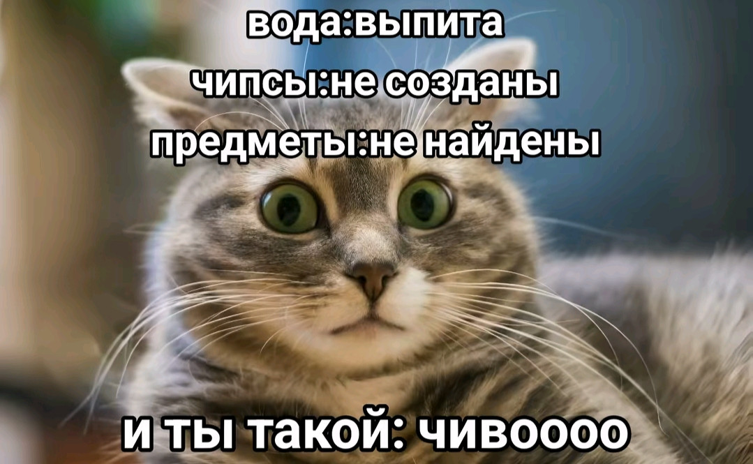 {TEXT?}