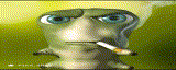 {TEXT?}