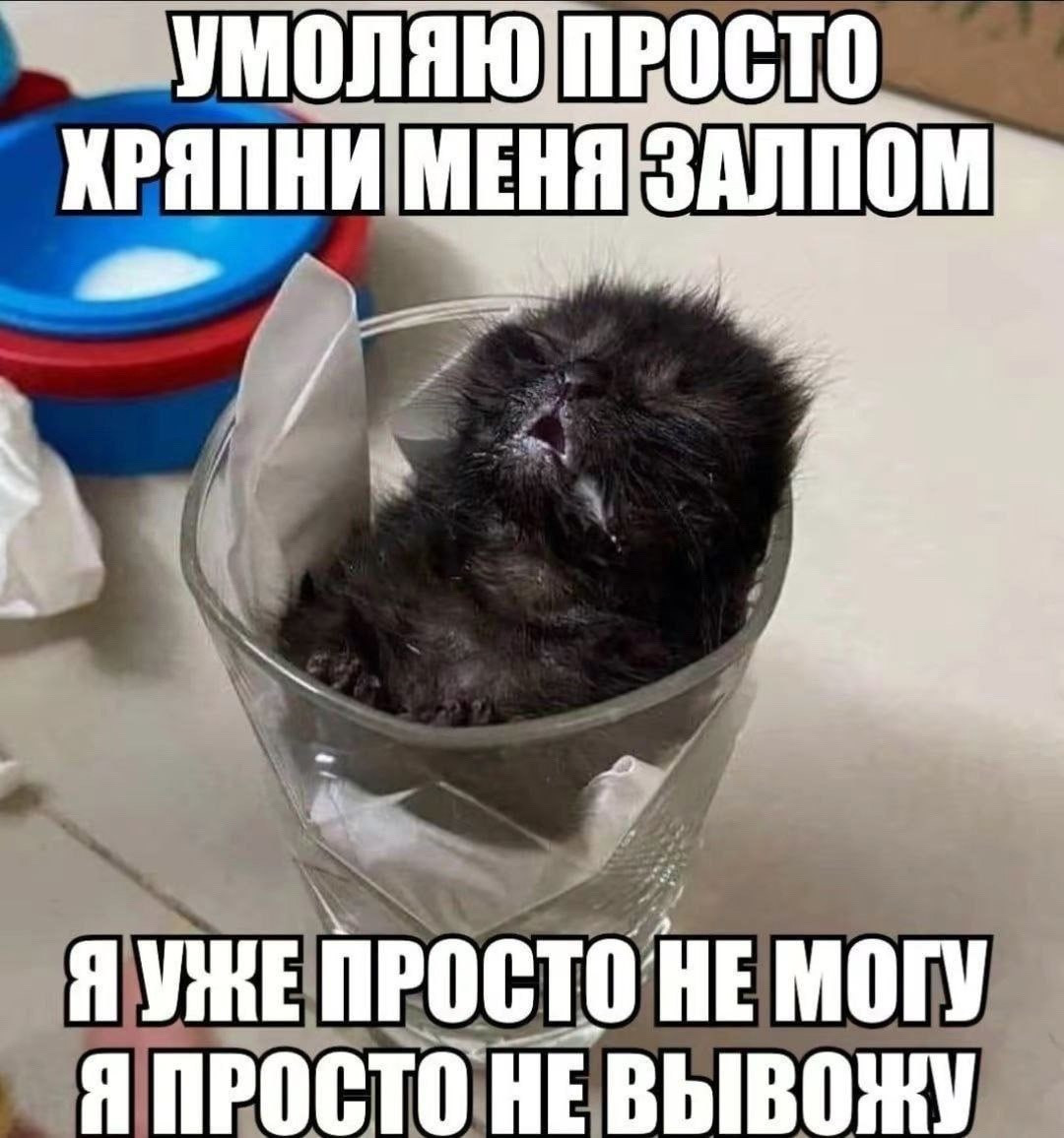 {TEXT?}