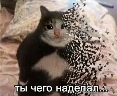 {TEXT?}