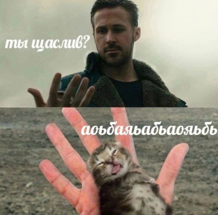 {TEXT?}