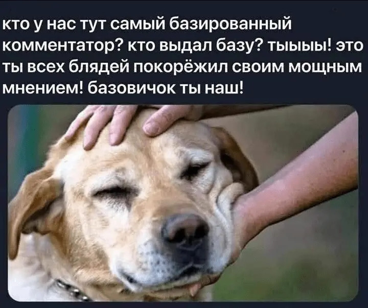 {TEXT?}