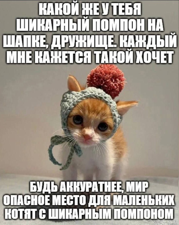 {TEXT?}