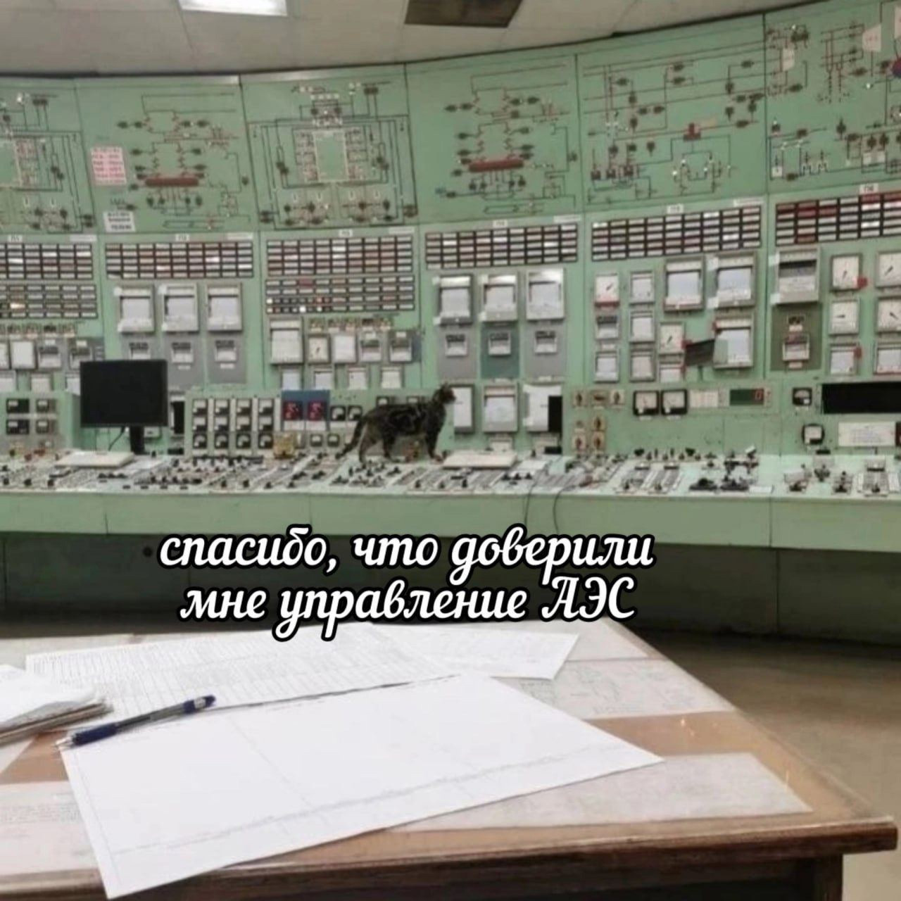 {TEXT?}