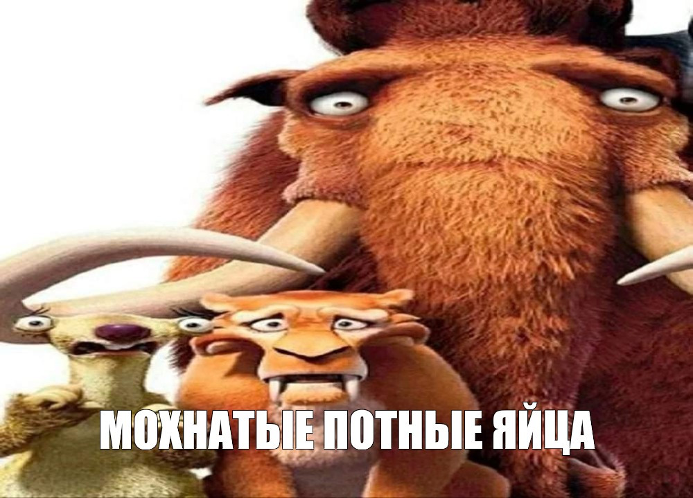 {TEXT?}