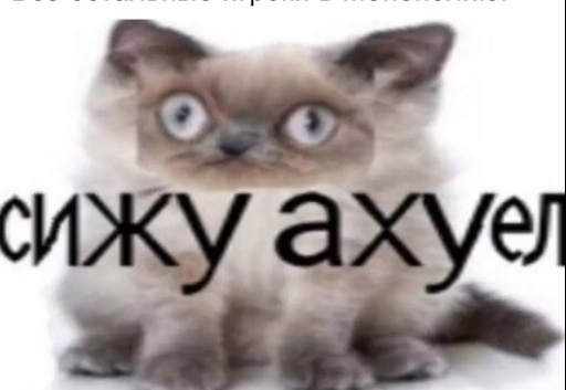 {TEXT?}