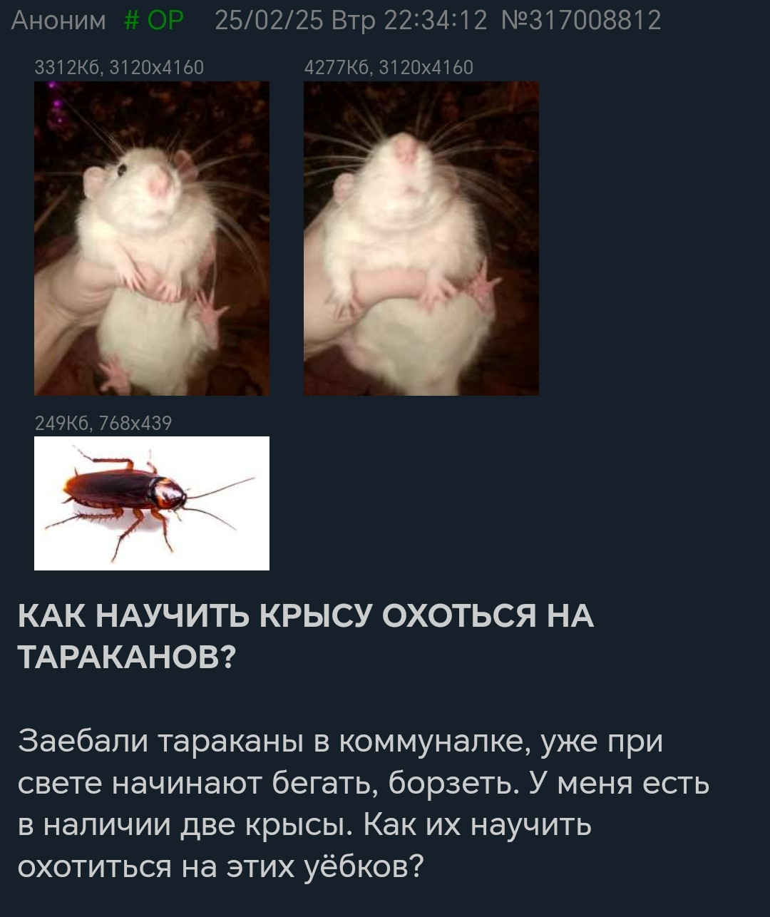 {TEXT?}