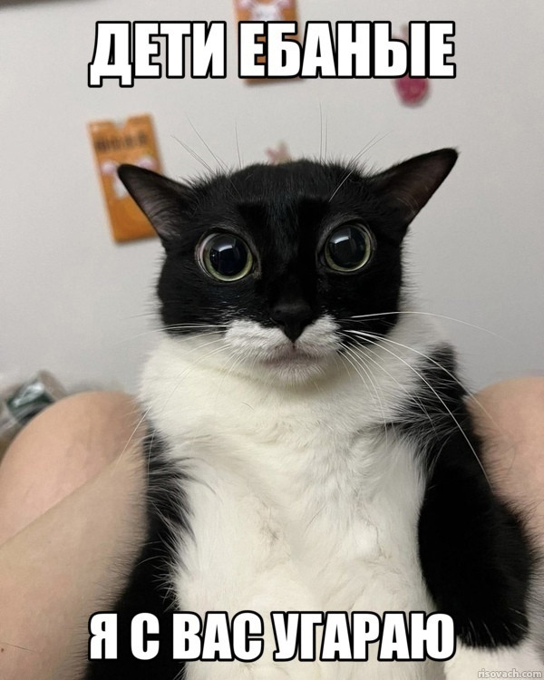 {TEXT?}