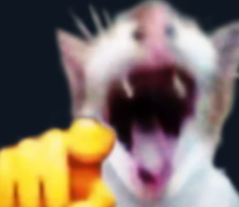 {TEXT?}