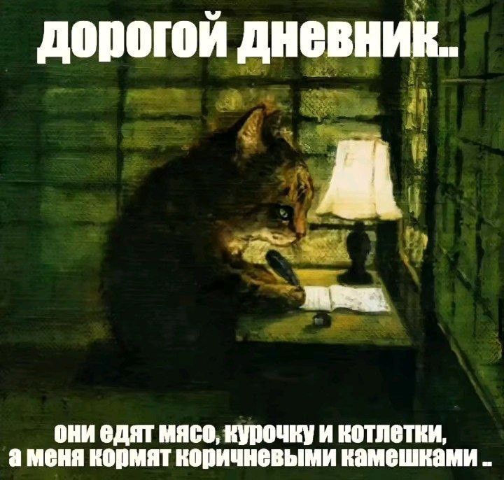 {TEXT?}