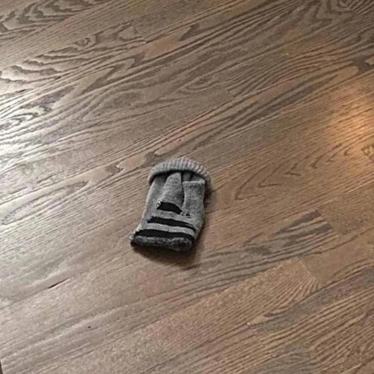 {TEXT?}