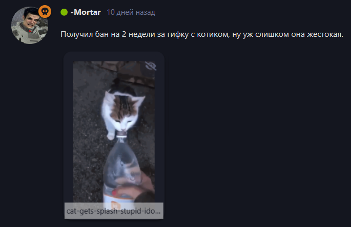 {TEXT?}