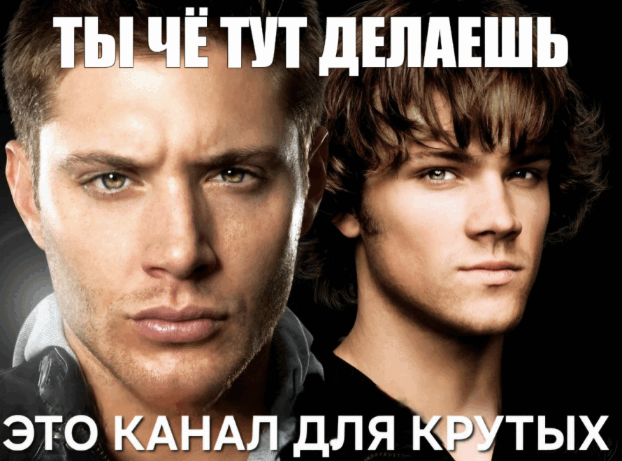 {TEXT?}