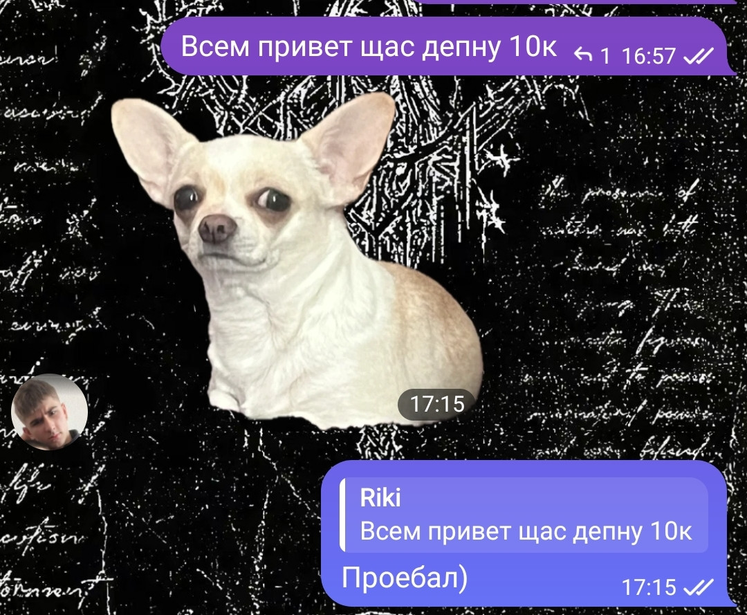 {TEXT?}