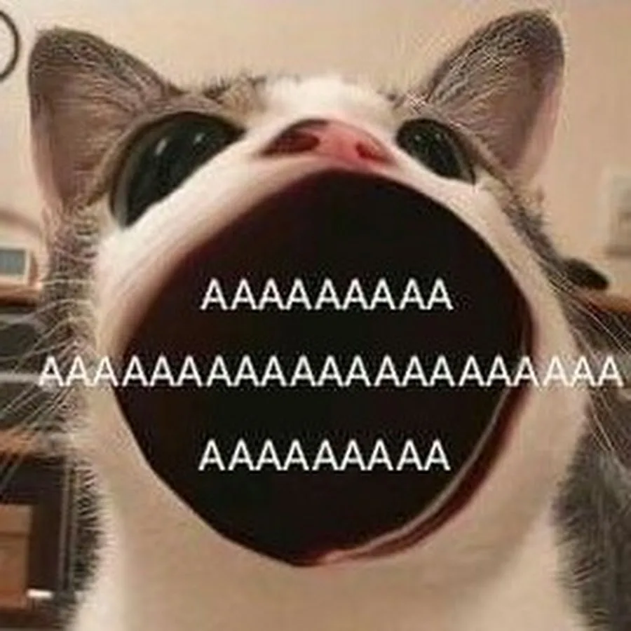 {TEXT?}