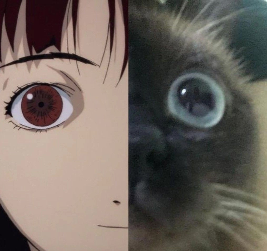 {TEXT?}