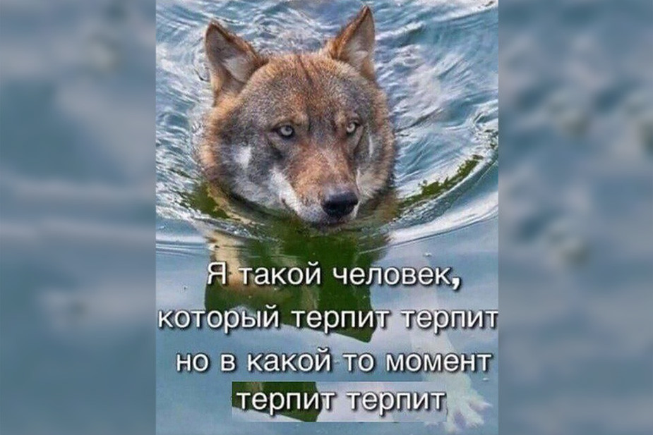 {TEXT?}