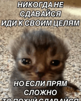 {TEXT?}