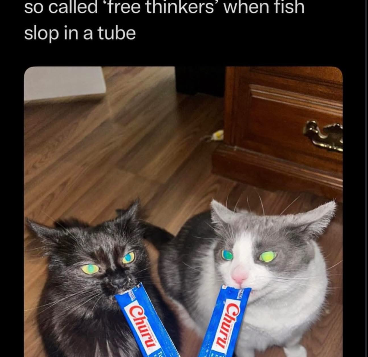 {TEXT?}