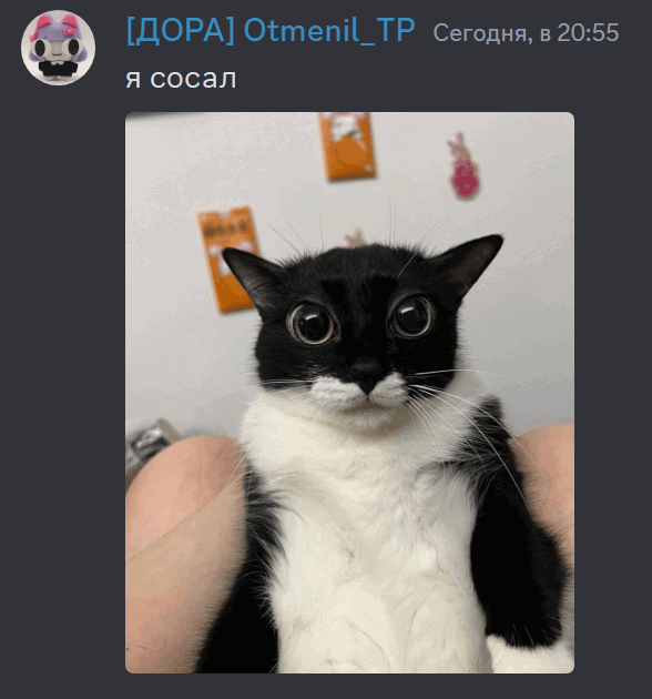 {TEXT?}