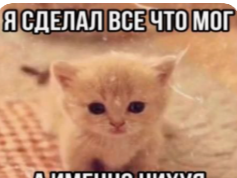 {TEXT?}