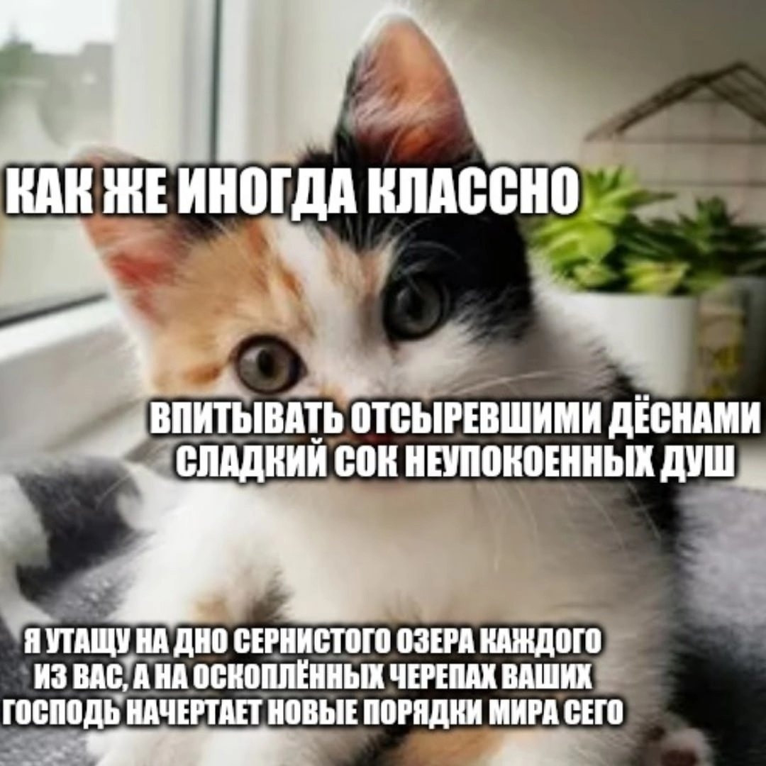 {TEXT?}