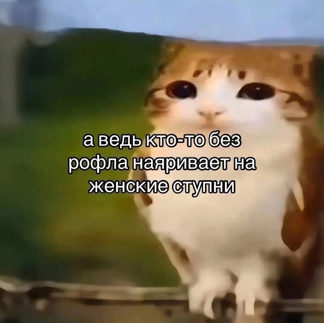 {TEXT?}