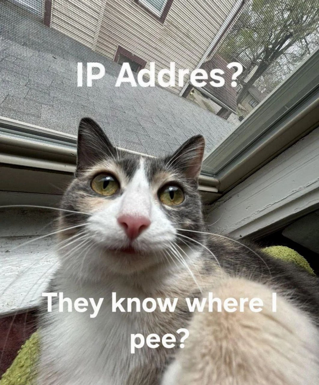 {TEXT?}