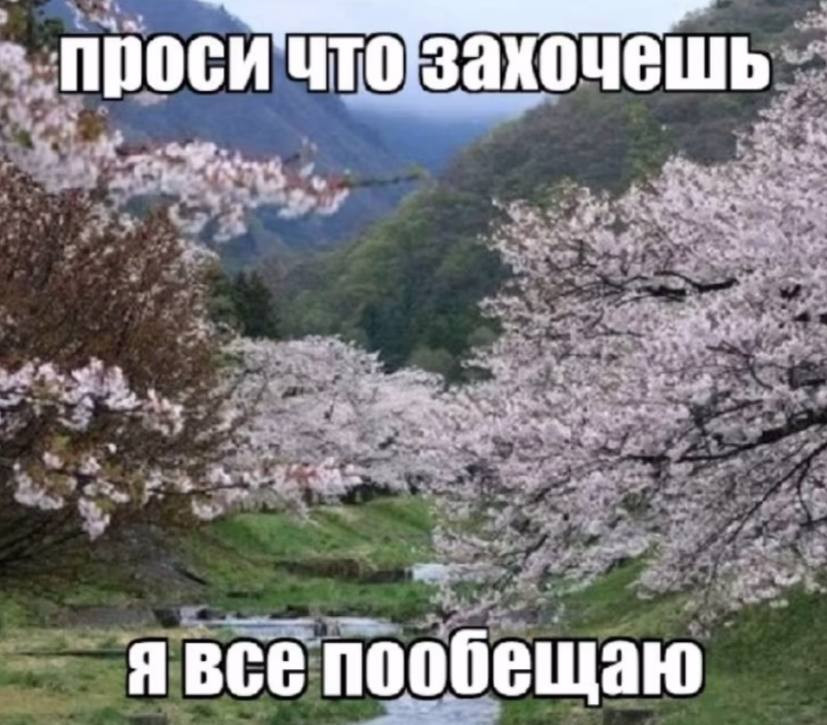 {TEXT?}