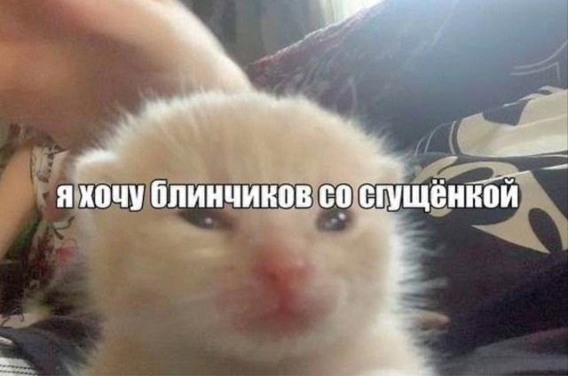 {TEXT?}