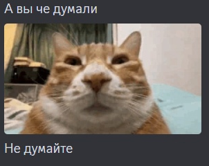 {TEXT?}
