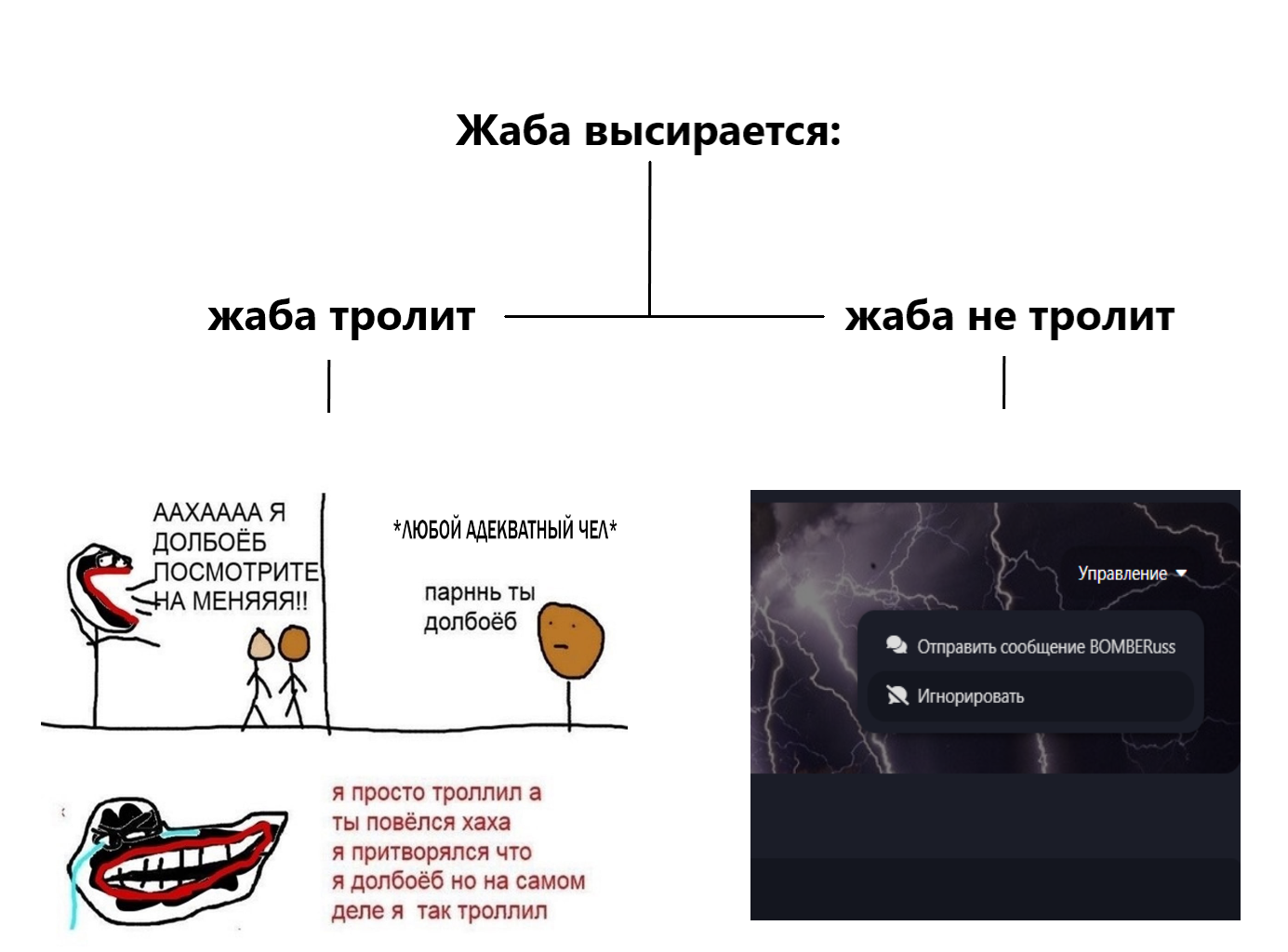 {TEXT?}